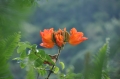 2013-10_CubaActive_B (320)